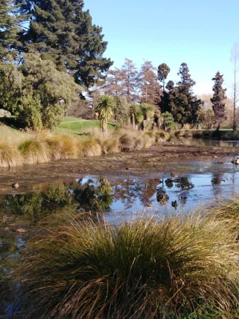 Parks, a report photo