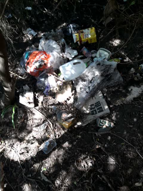 Rubbish/Recycling, a report photo