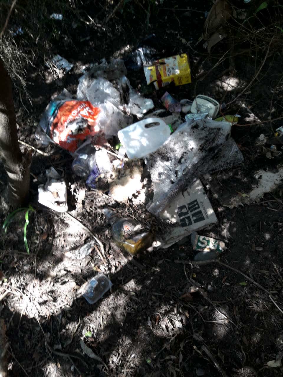 The photograph attached to this rubbish/recycling report
