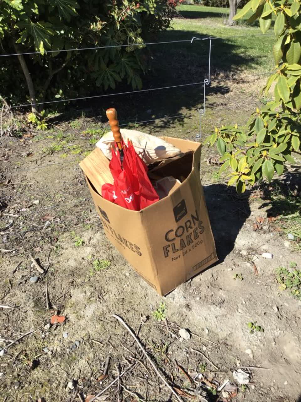 The photograph attached to this rubbish/recycling report