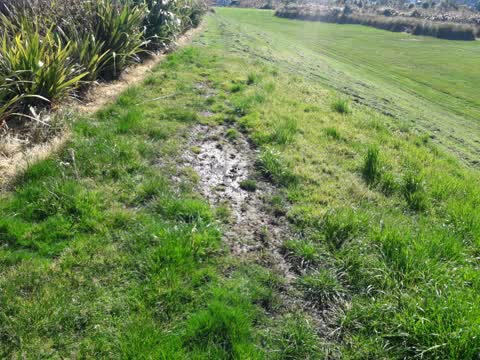 Water Supply, a report photo