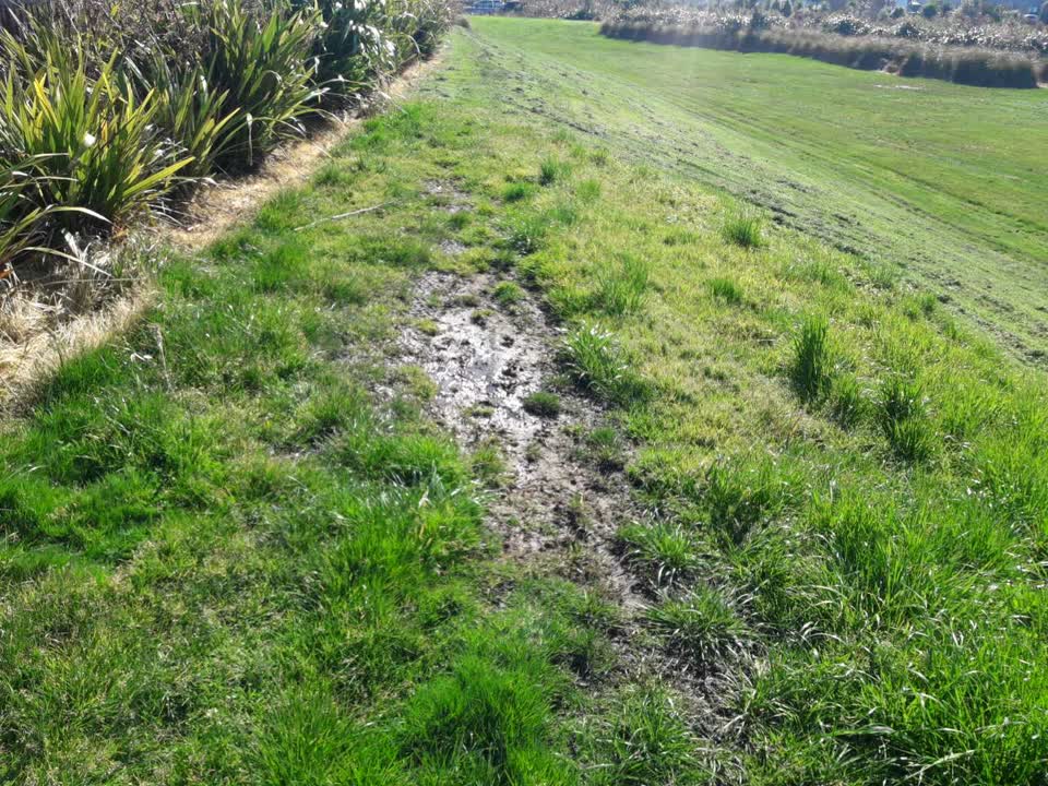 The photograph attached to this water supply report