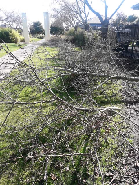 Parks, a report photo