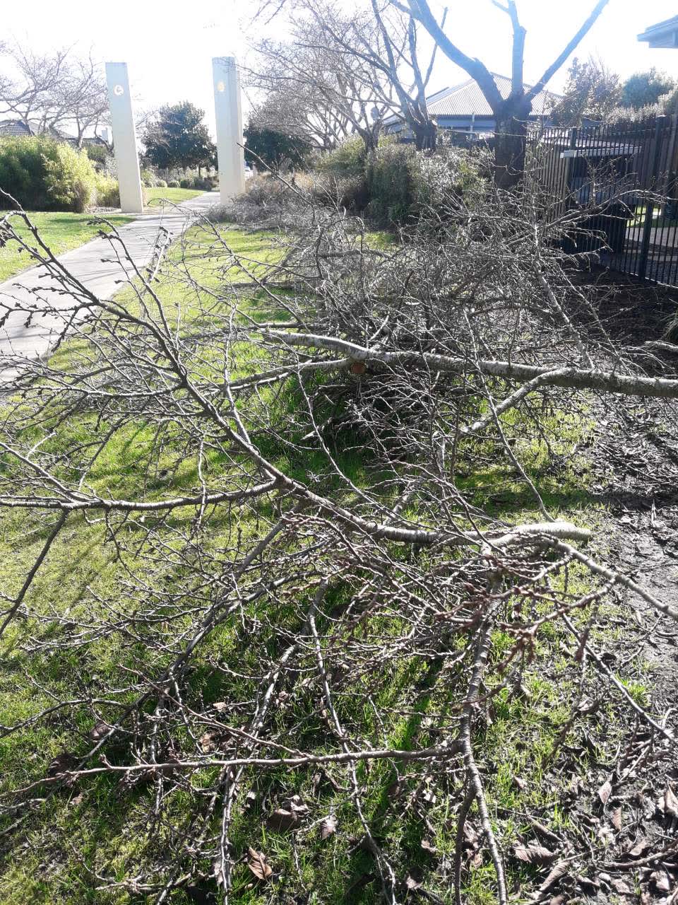 The photograph attached to this parks report