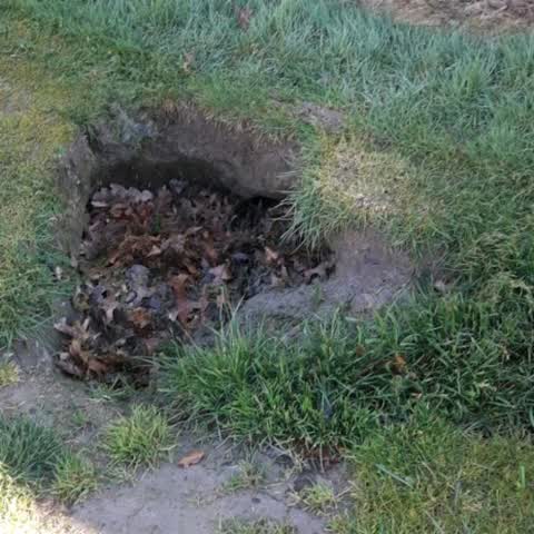 Parks, a report photo