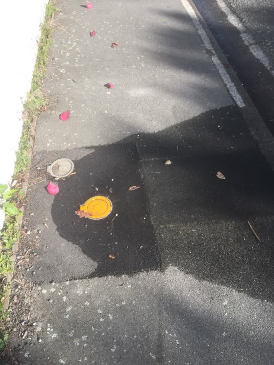 The photograph attached to this water supply report