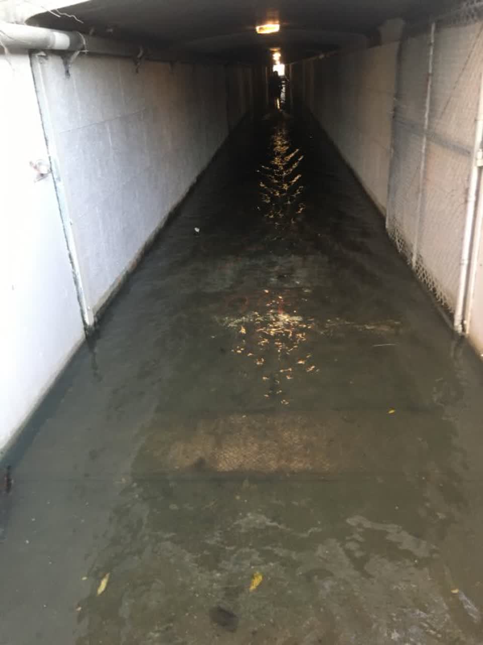 The photograph attached to this wastewater/stormwater report