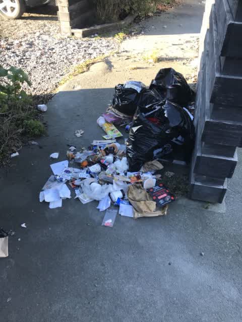 Rubbish/Recycling, a report photo