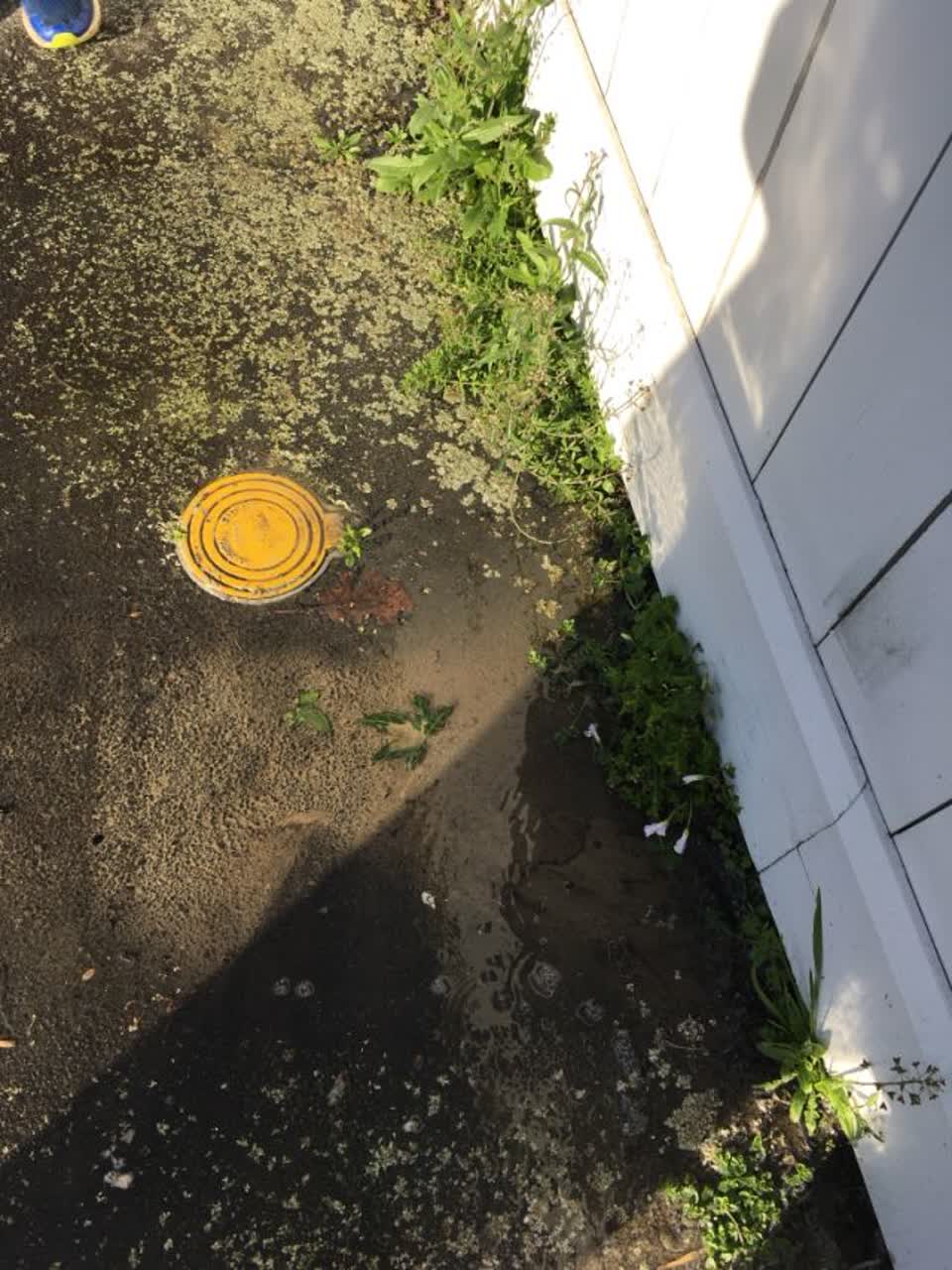 The photograph attached to this water supply report