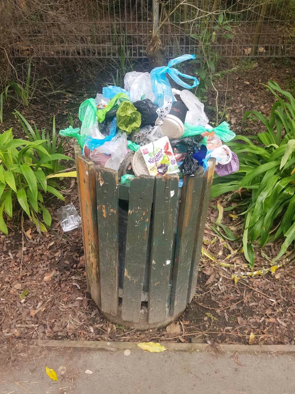 The photograph attached to this rubbish/recycling report