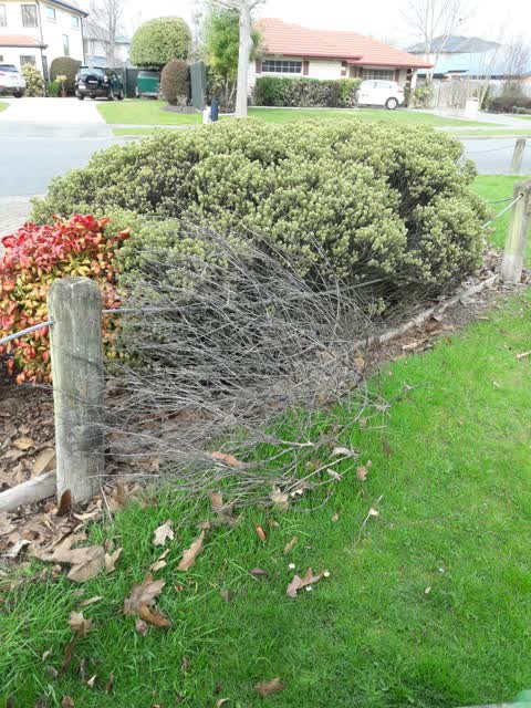 Parks, a report photo