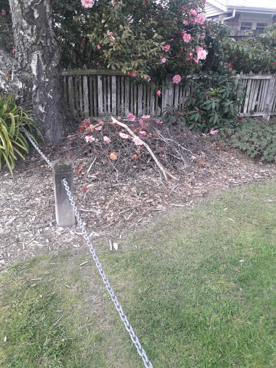 The photograph attached to this parks report