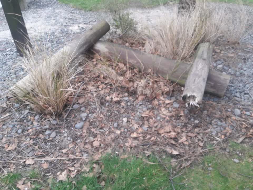 The photograph attached to this parks report