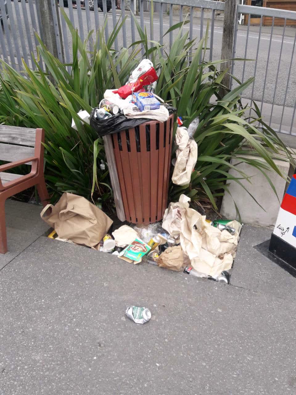 The photograph attached to this rubbish/recycling report