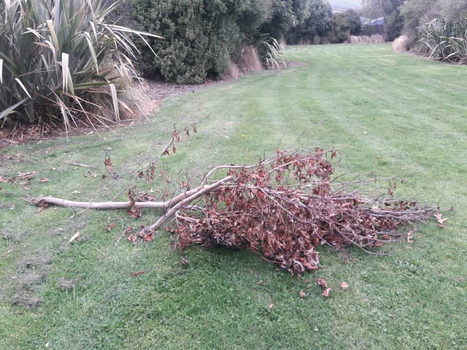 The photograph attached to this parks report