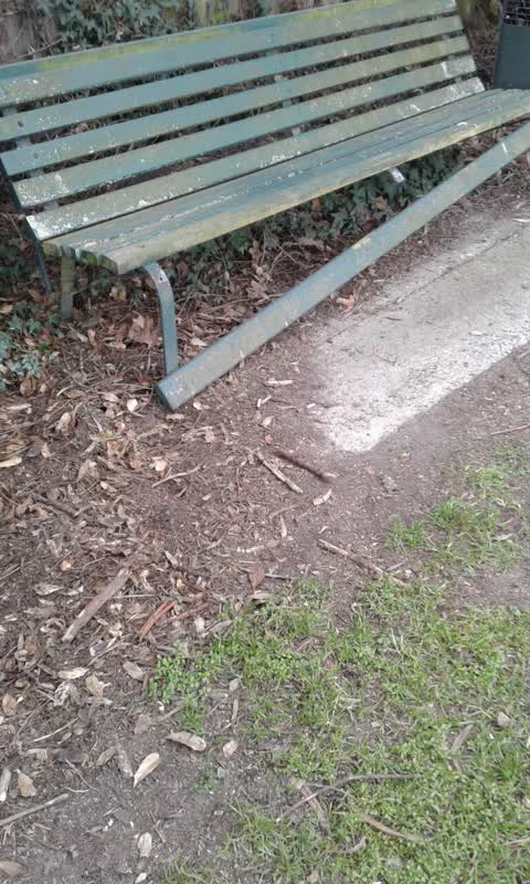 Parks, a report photo