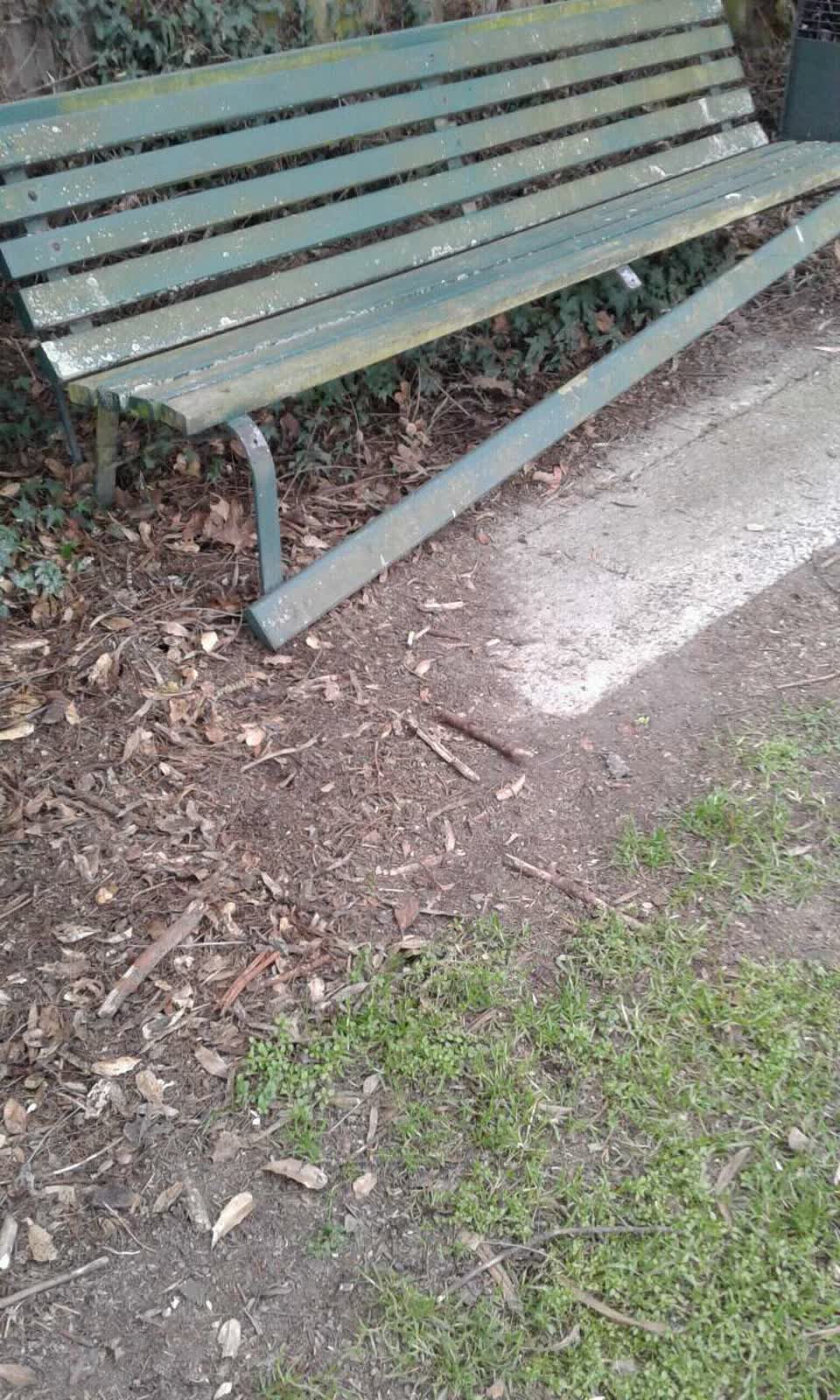 The photograph attached to this parks report