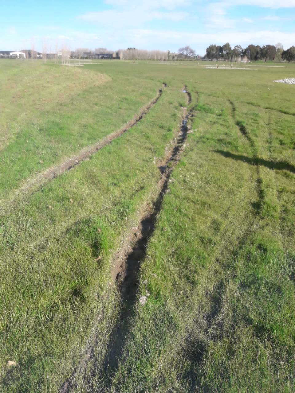 The photograph attached to this parks report
