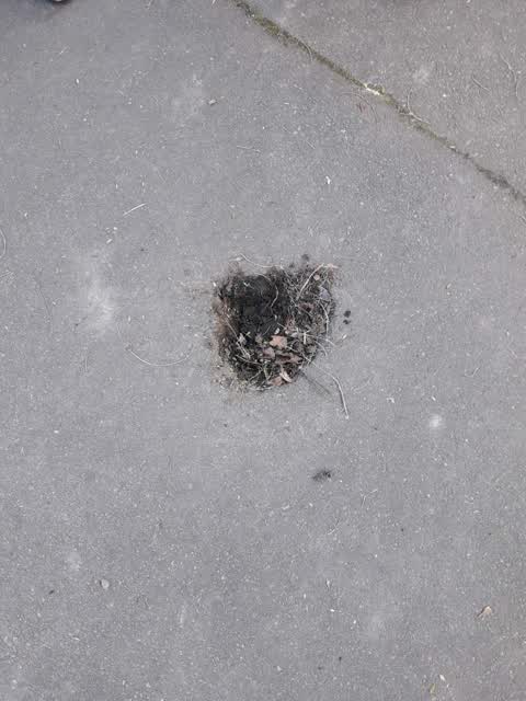 Roading/Streets, a report photo