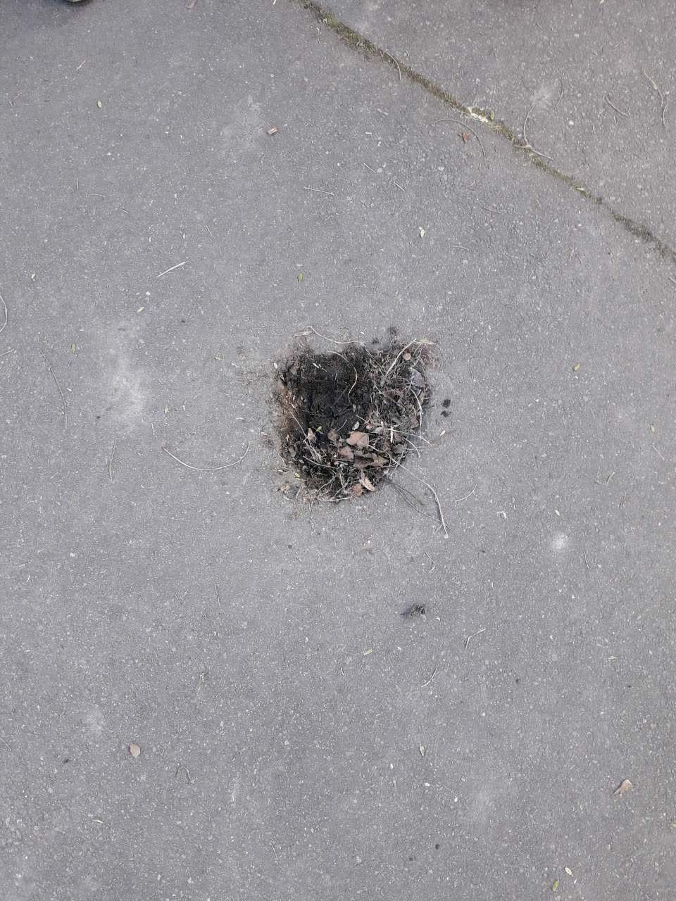 The photograph attached to this roading/streets report