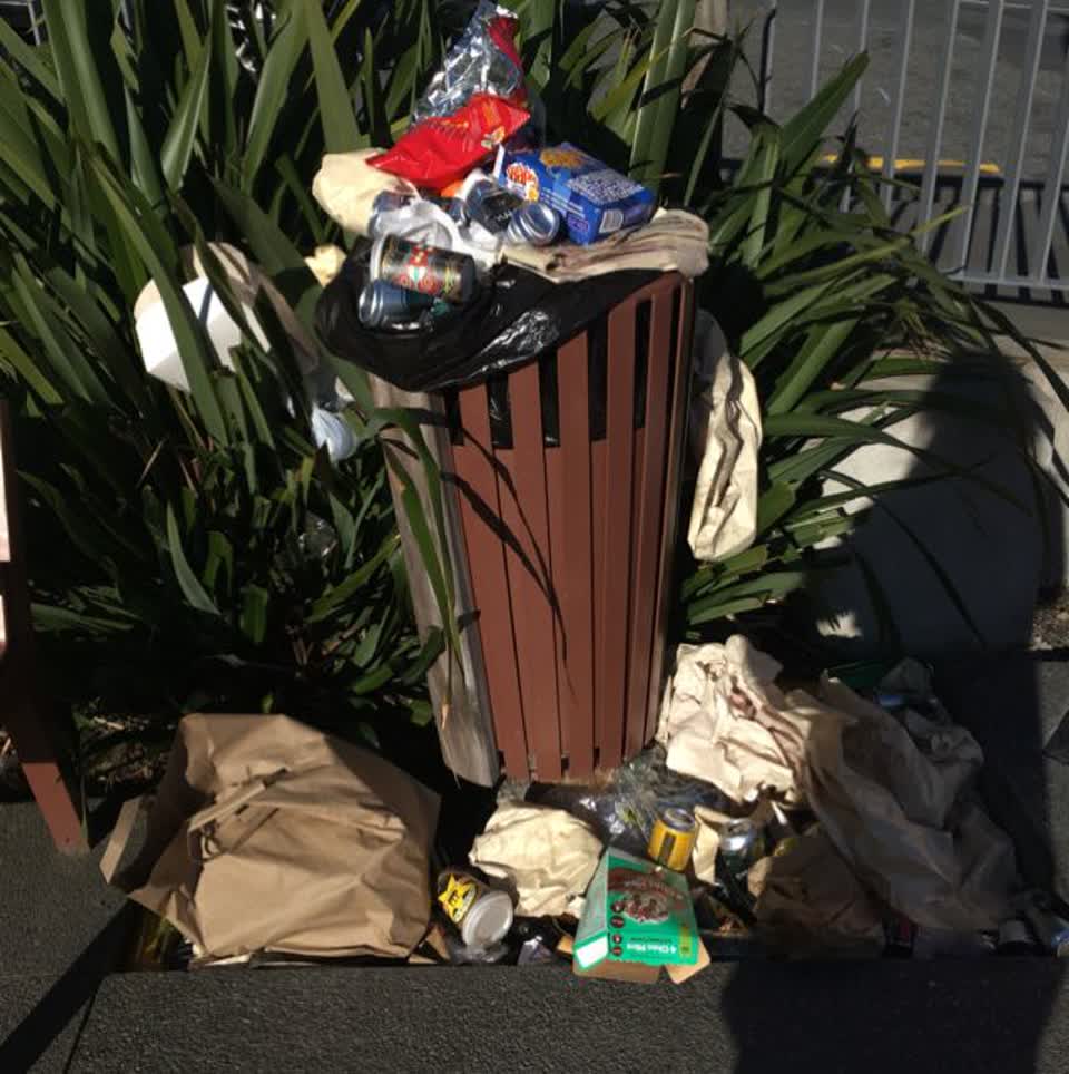 The photograph attached to this parks report