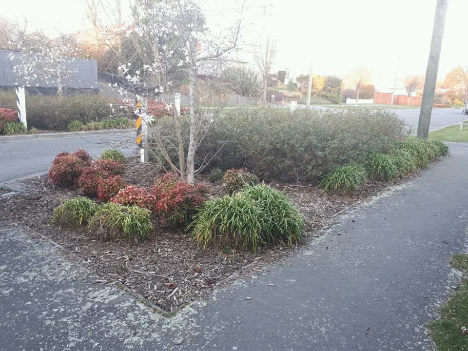 The photograph attached to this parks report