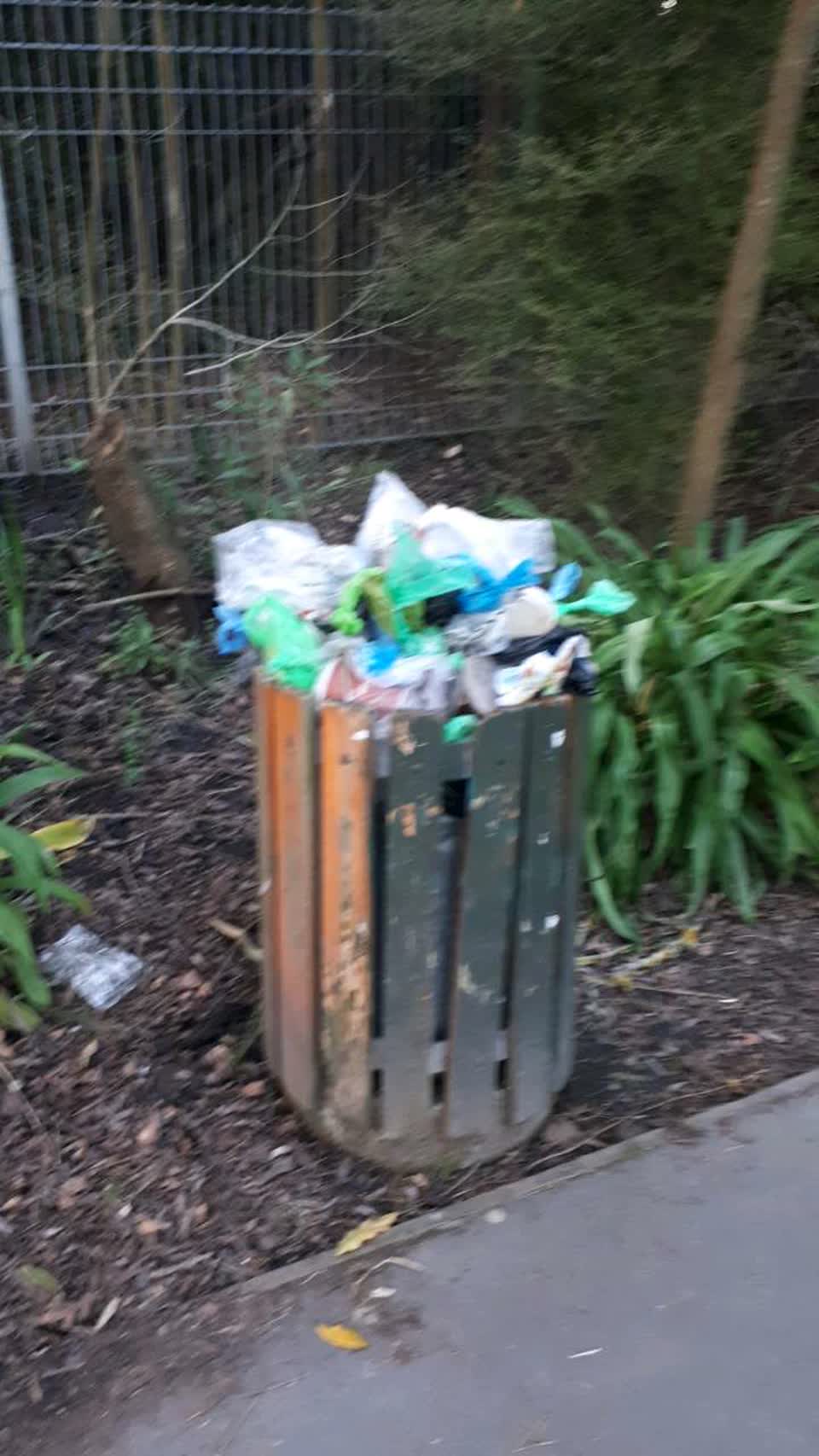 The photograph attached to this parks report
