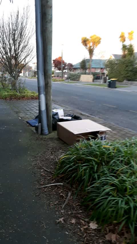 Rubbish/Recycling, a report photo