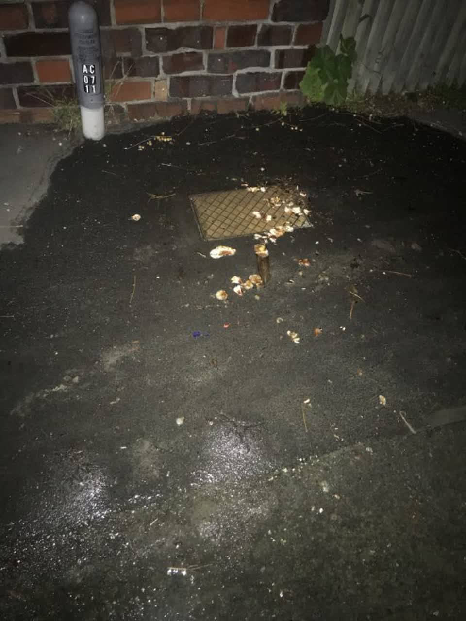The photograph attached to this water supply report
