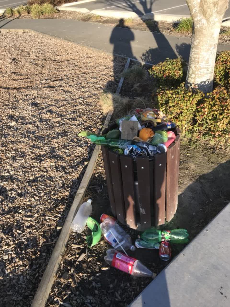 The photograph attached to this parks report