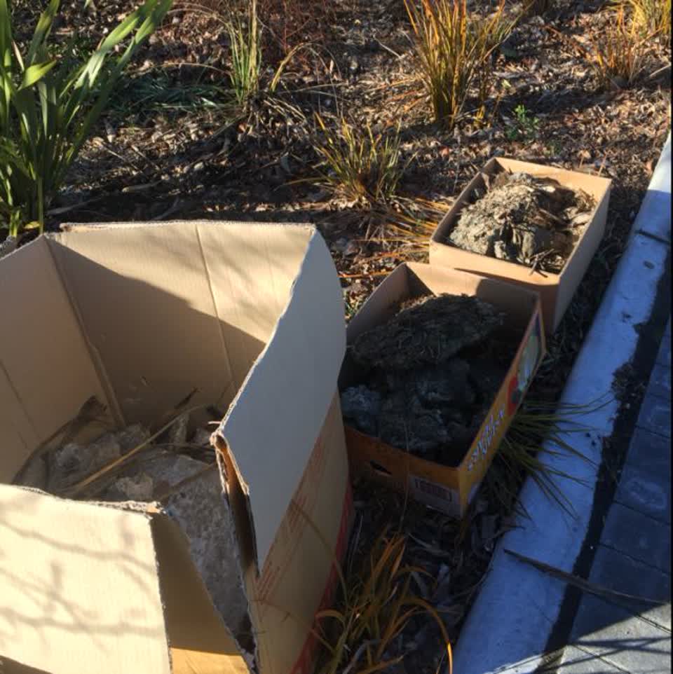 The photograph attached to this rubbish/recycling report