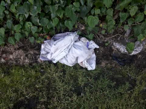 Rubbish/Recycling, a report photo