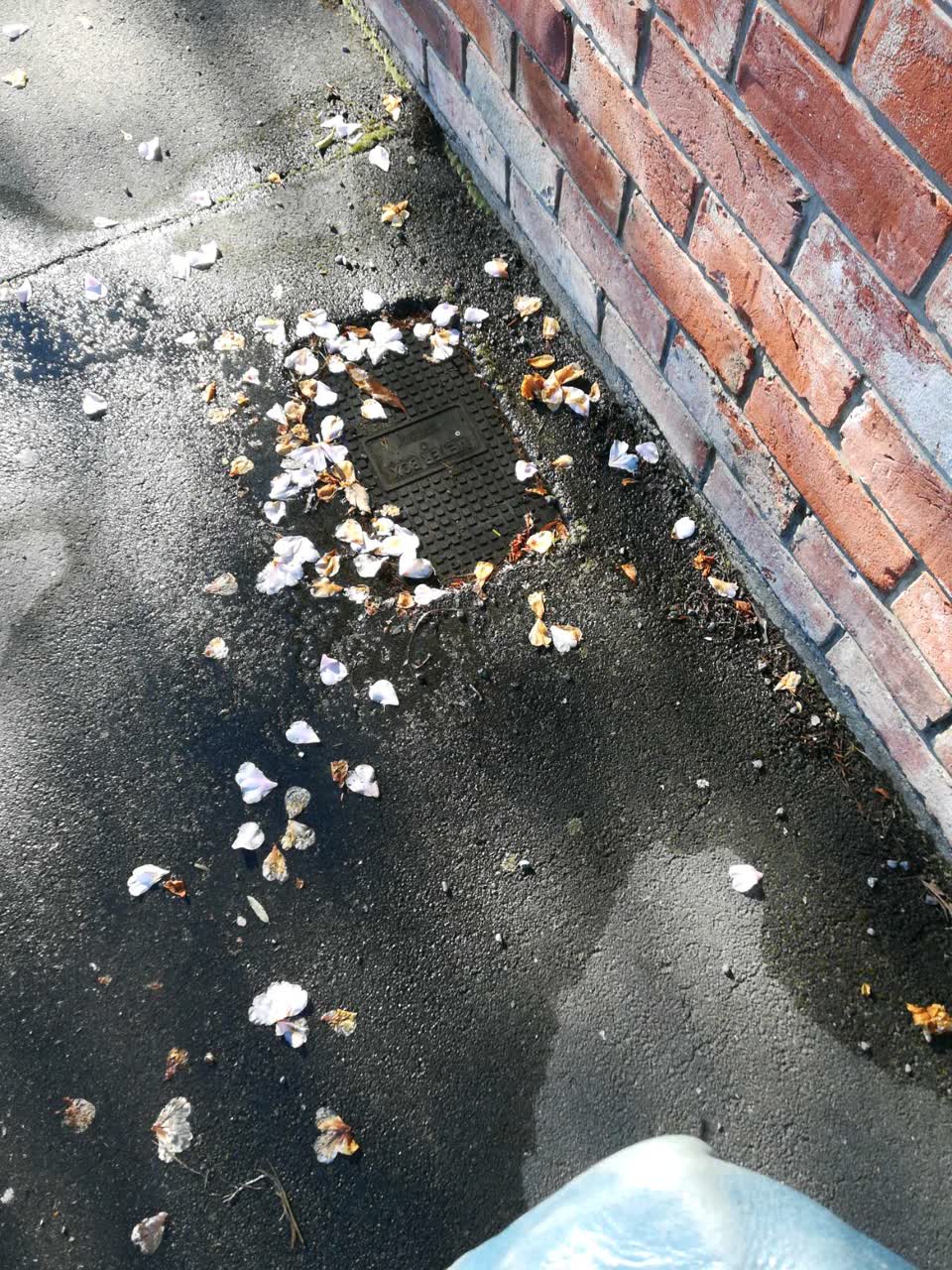 The photograph attached to this water supply report