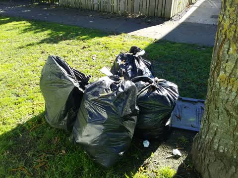 Rubbish/Recycling — a report photo