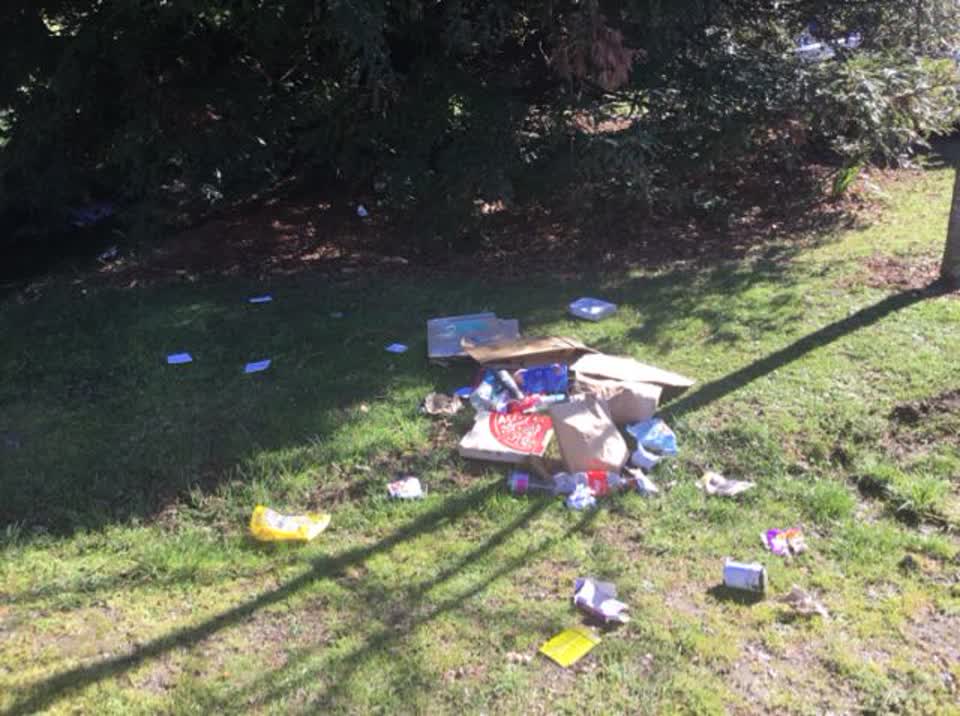 The photograph attached to this rubbish/recycling report
