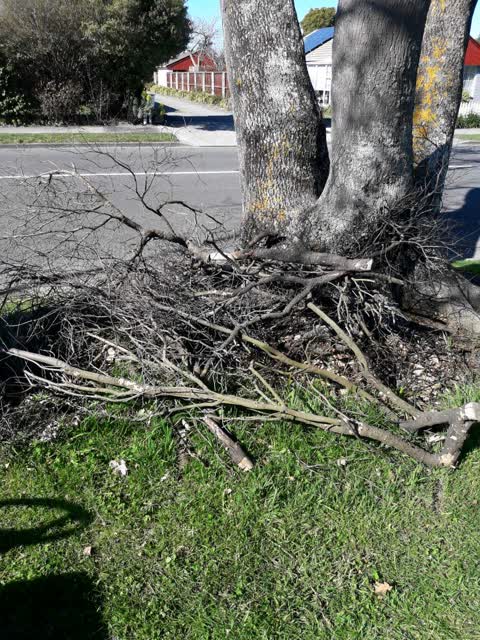 Parks, a report photo
