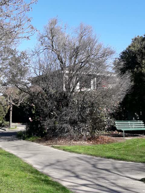 Parks, a report photo