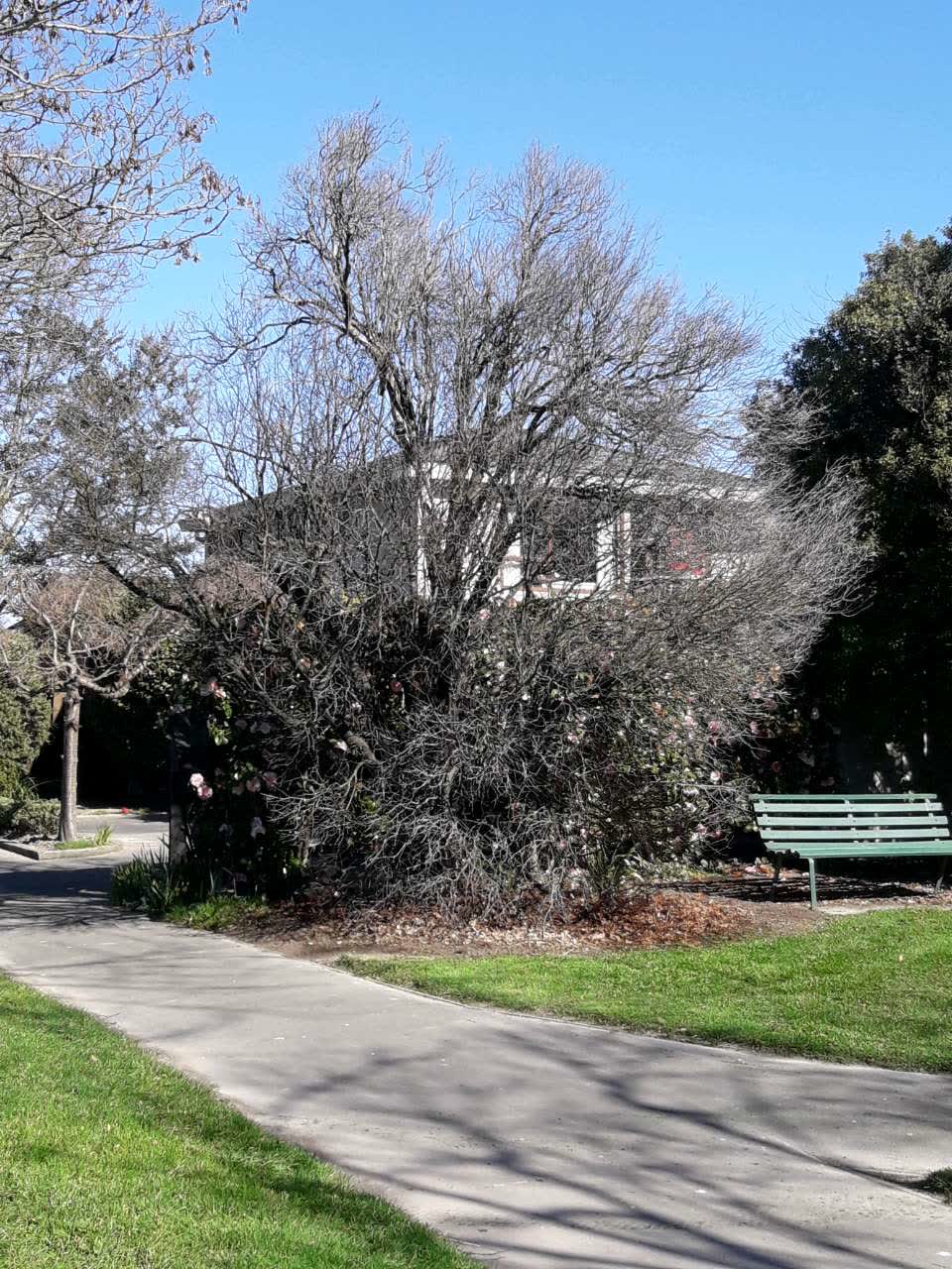 The photograph attached to this parks report