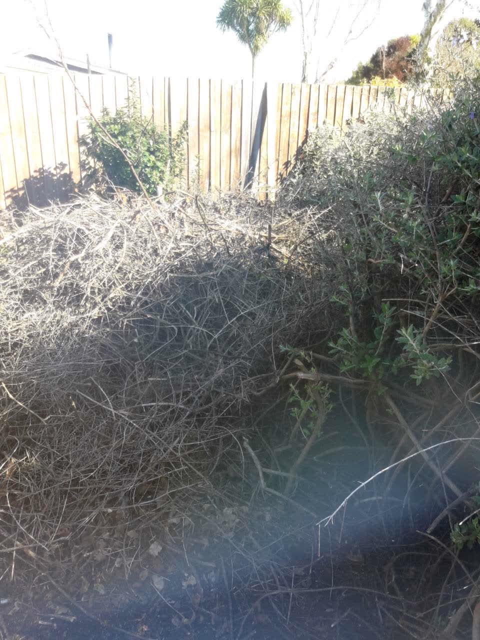 The photograph attached to this parks report