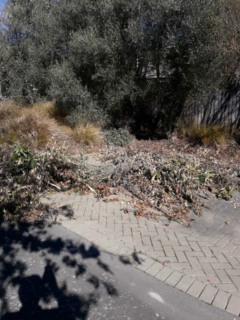 Parks, a report photo