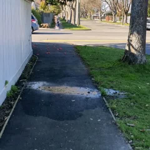 Water Supply, a report photo