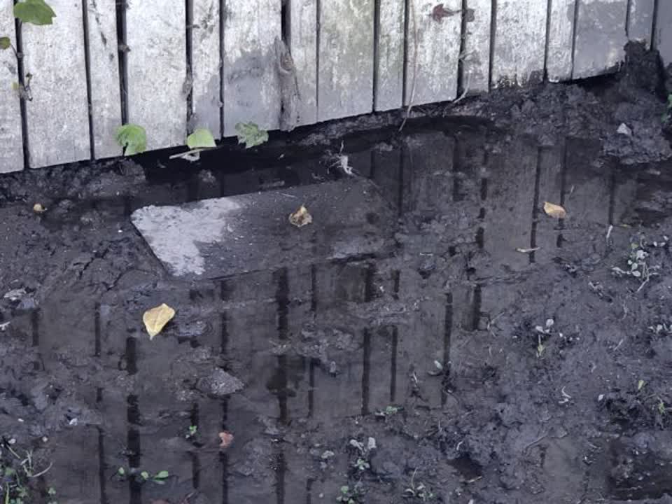 The photograph attached to this water supply report