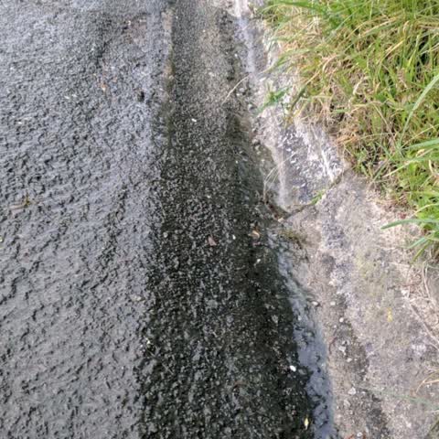 Wastewater/Stormwater, a report photo