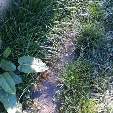 Roading/Streets, a report photo