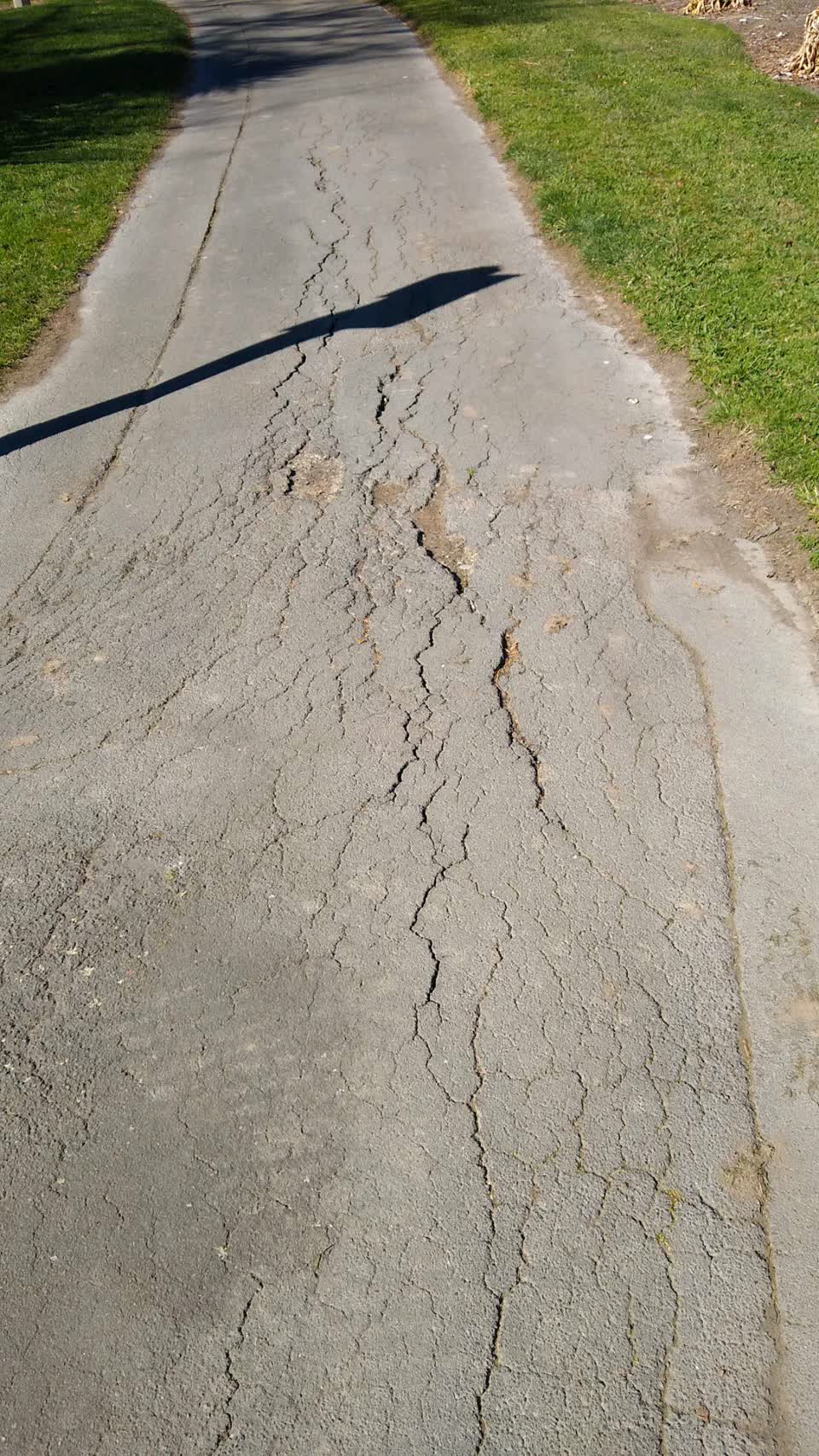 The photograph attached to this parks report