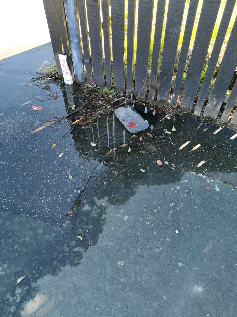 The photograph attached to this water supply report