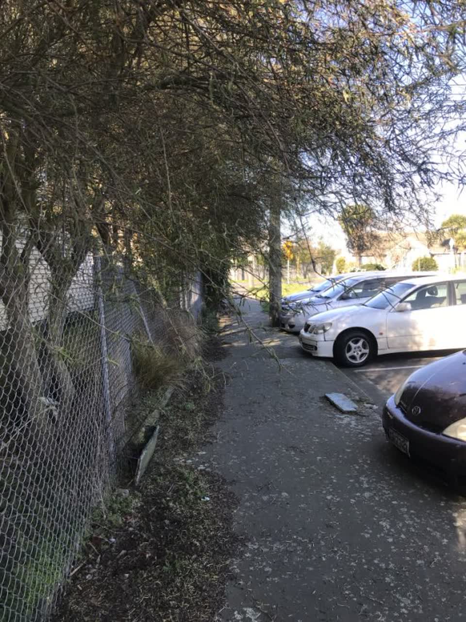 The photograph attached to this parks report