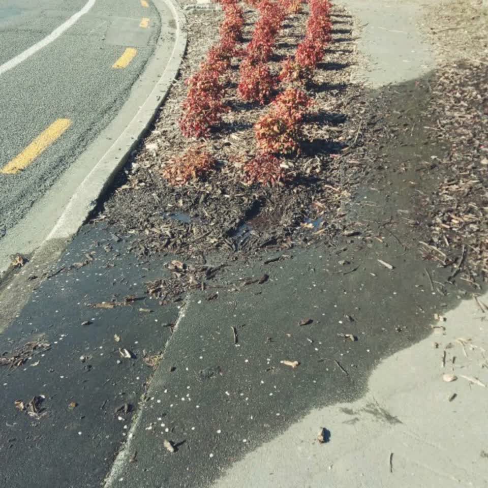 The photograph attached to this wastewater/stormwater report