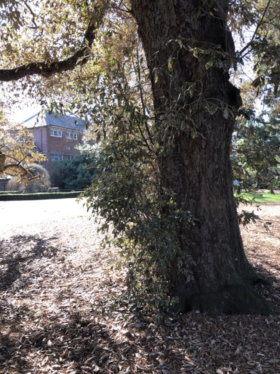 The photograph attached to this parks report