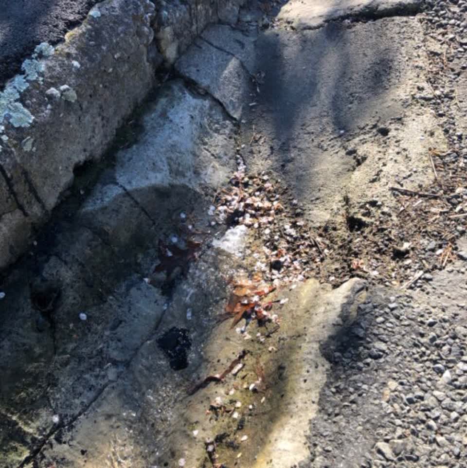 The photograph attached to this wastewater/stormwater report
